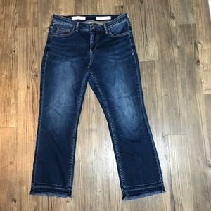 Anthropologie Jeans Pilcro and the Letterpress Jeans Size 29